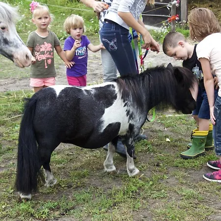 Minicamping De Lindehoef Daire