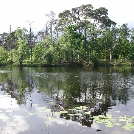 Daire Minicamping De Lindehoef *