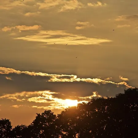 Minicamping De Lindehoef * Moergestel