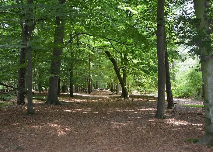 Minicamping De Lindehoef Lejlighed *