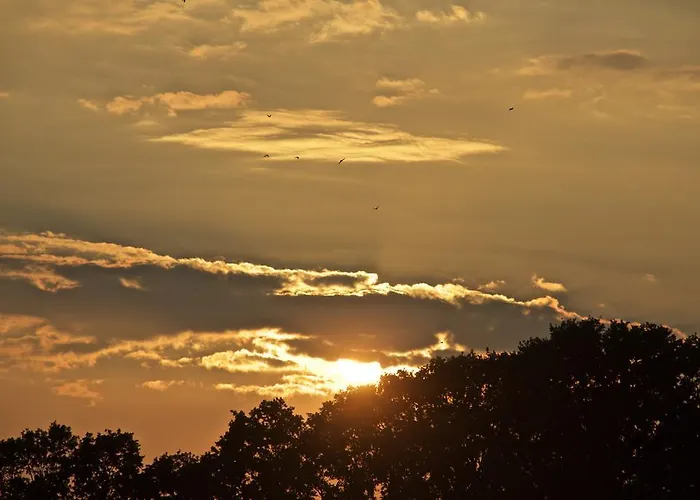 Minicamping De Lindehoef * Moergestel