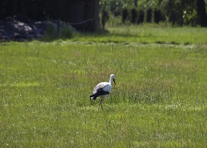 Apartment Minicamping De Lindehoef