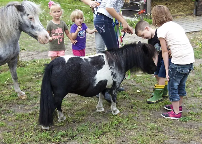 Minicamping De Lindehoef Daire